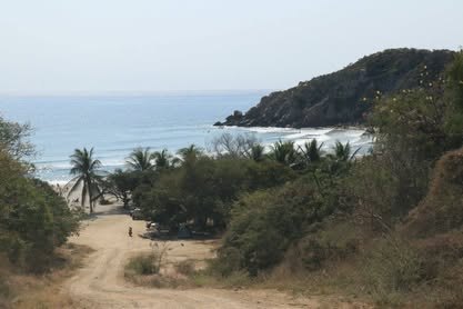 Bahía con playa de arena clara, palmeras y cerros verdes