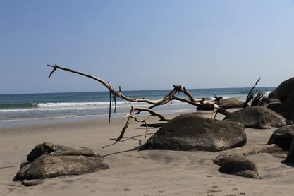 Playa con troncos arrastrados por el mar y rocas al fondo