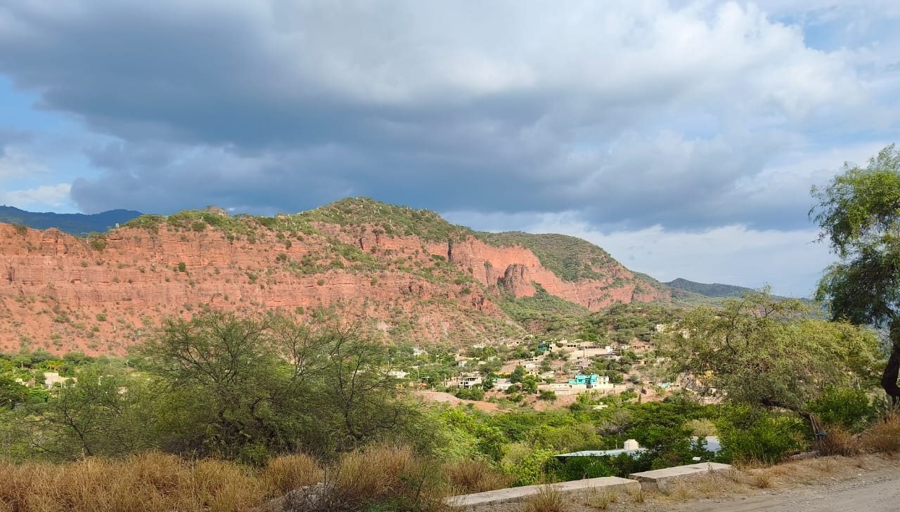Cerros rojizos y vegetación de matorral en la Cañada, dentro de la Reserva de la Biosfera Tehuacán-Cuicatlán