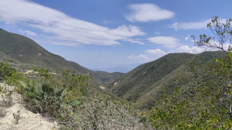 Laderas con vegetación seca y montañas al fondo, vistas desde la carretera en la Cañada
