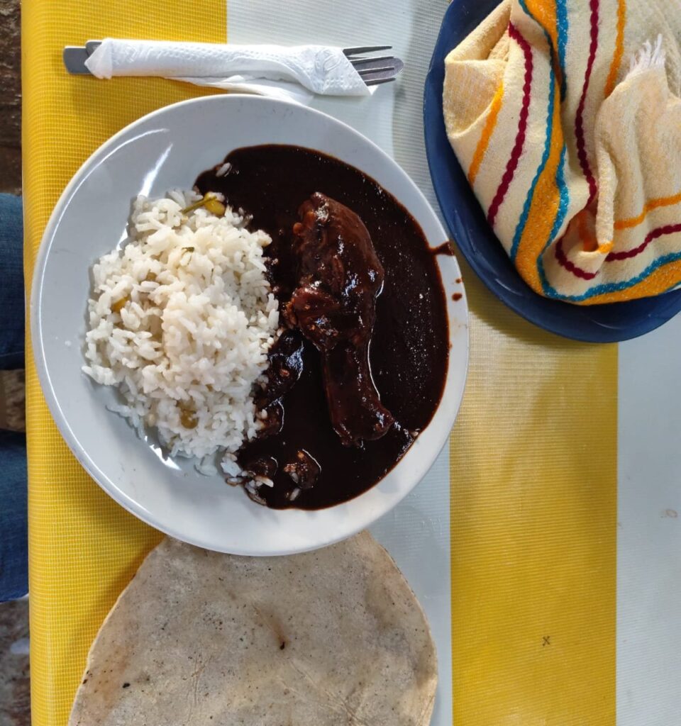 Plato de mole negro con arroz y tortillas de maíz