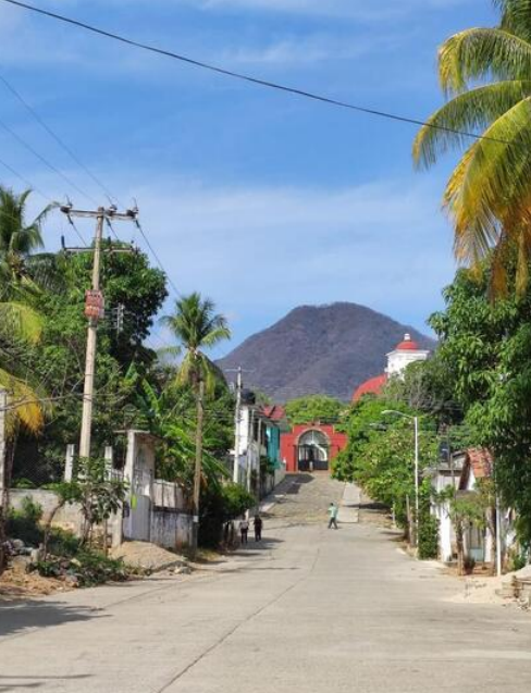 Fototeca Calle de San Pedro Huamelula con palmeras y un cerro al fondo.