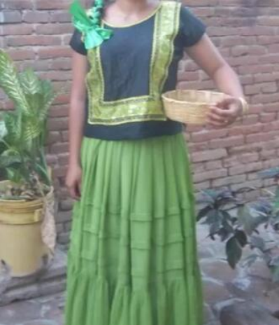 Fototeca Mujer con enagua verde y huipil bordado sostiene una jícara.