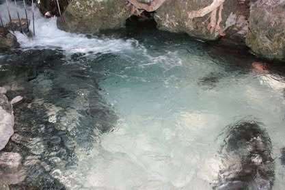 Agua cristalina que corre entre rocas