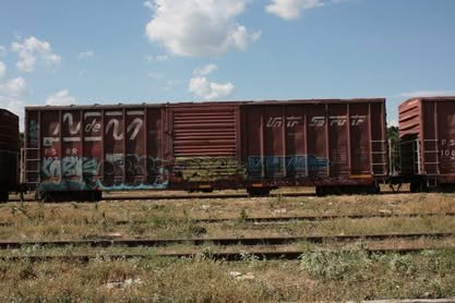 Vagones de un tren de carga detenidos sobre las vías, entre pasto seco