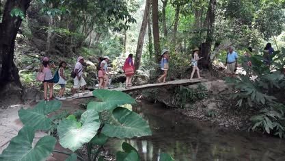 Grupo de estudiantes cruza un arroyo bajo árboles altos