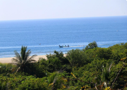 imagen 2026 03 01 230653929