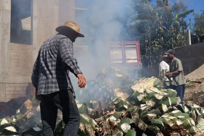 San Guillermo: un palenque artesanal en la Ruta del Mezcal de Miahuatlán Productor con sombrero acomoda piñas de agave junto al horno humeante