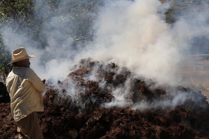 San Guillermo: un palenque artesanal en la Ruta del Mezcal de Miahuatlán Persona junto al horno de tierra mientras se levanta el humo