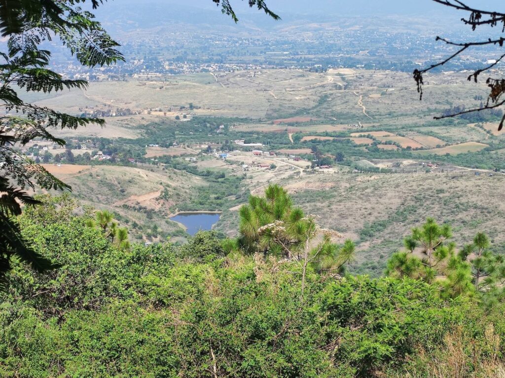 Memoria de campo 2011–2026 Vista del valle de Oaxaca desde una ladera boscosa