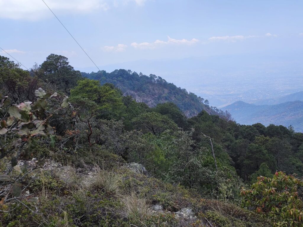 San Pablo Etla: acuerdos para fortalecer un proyecto ecoturístico Montañas cubiertas de bosque bajo un cielo nublado