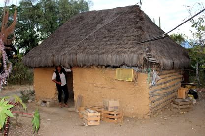 Casa de adobe con techo de palma junto a un árbol