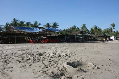 Playa de arena con enramadas de palma y palmeras al fondo