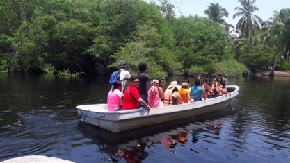 Lancha con visitantes navega por un estero bordeado de manglar